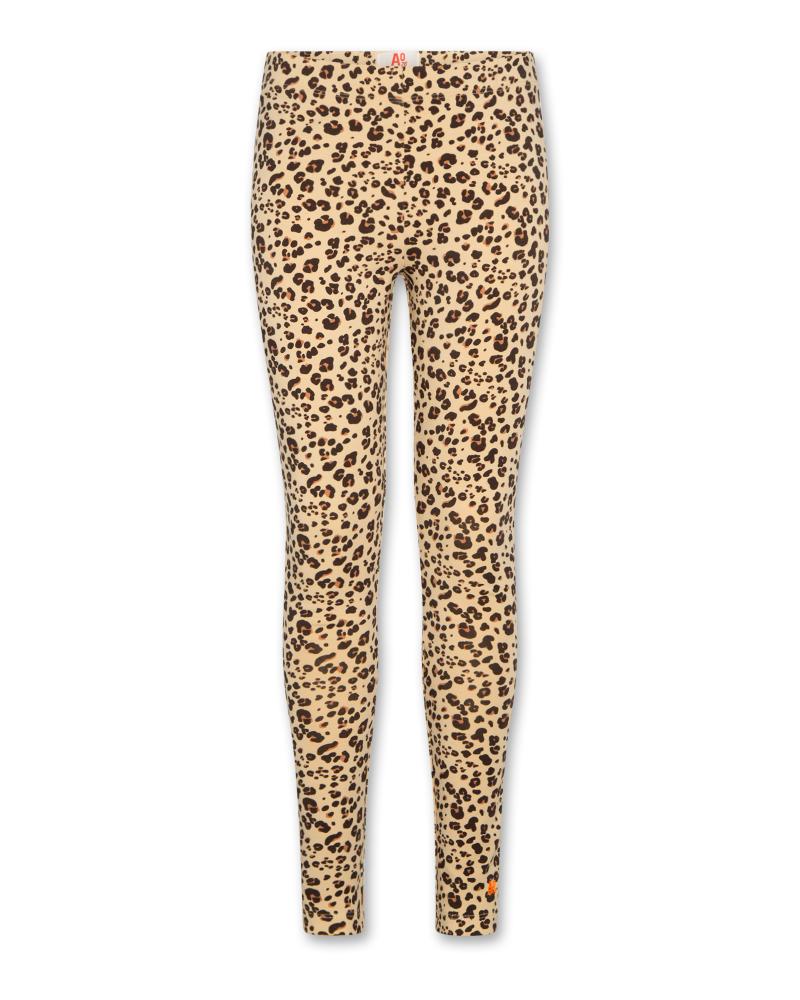 Roca Legging Pants - Multicolour