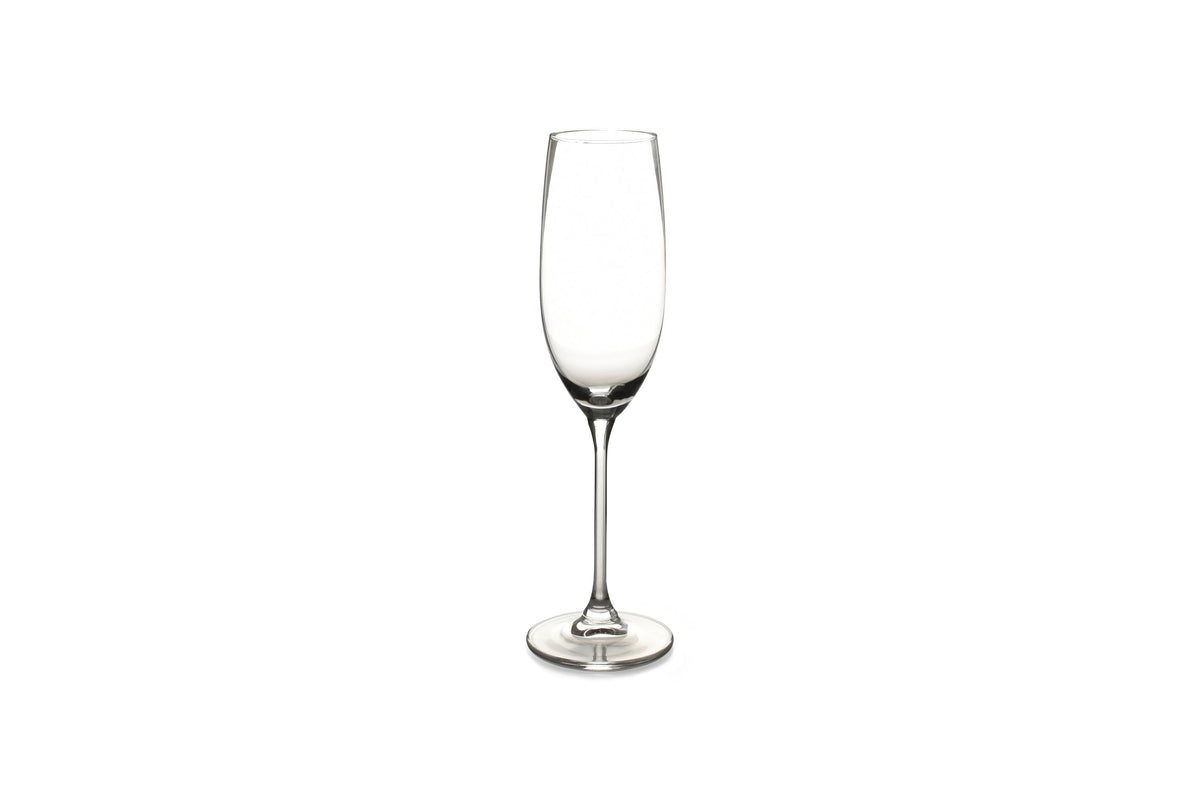 S&P - Verre à champagne 21cl Tinta - set/6