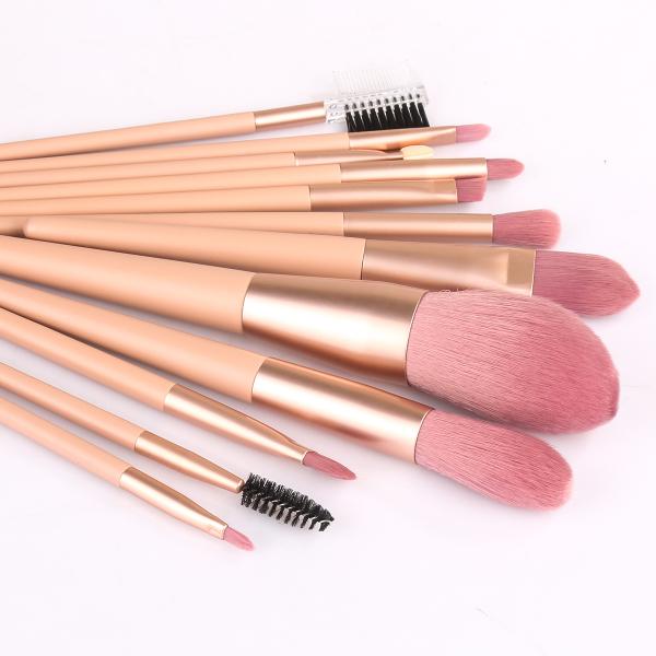 Set De 12 Pinceaux A Maquillage - Rose