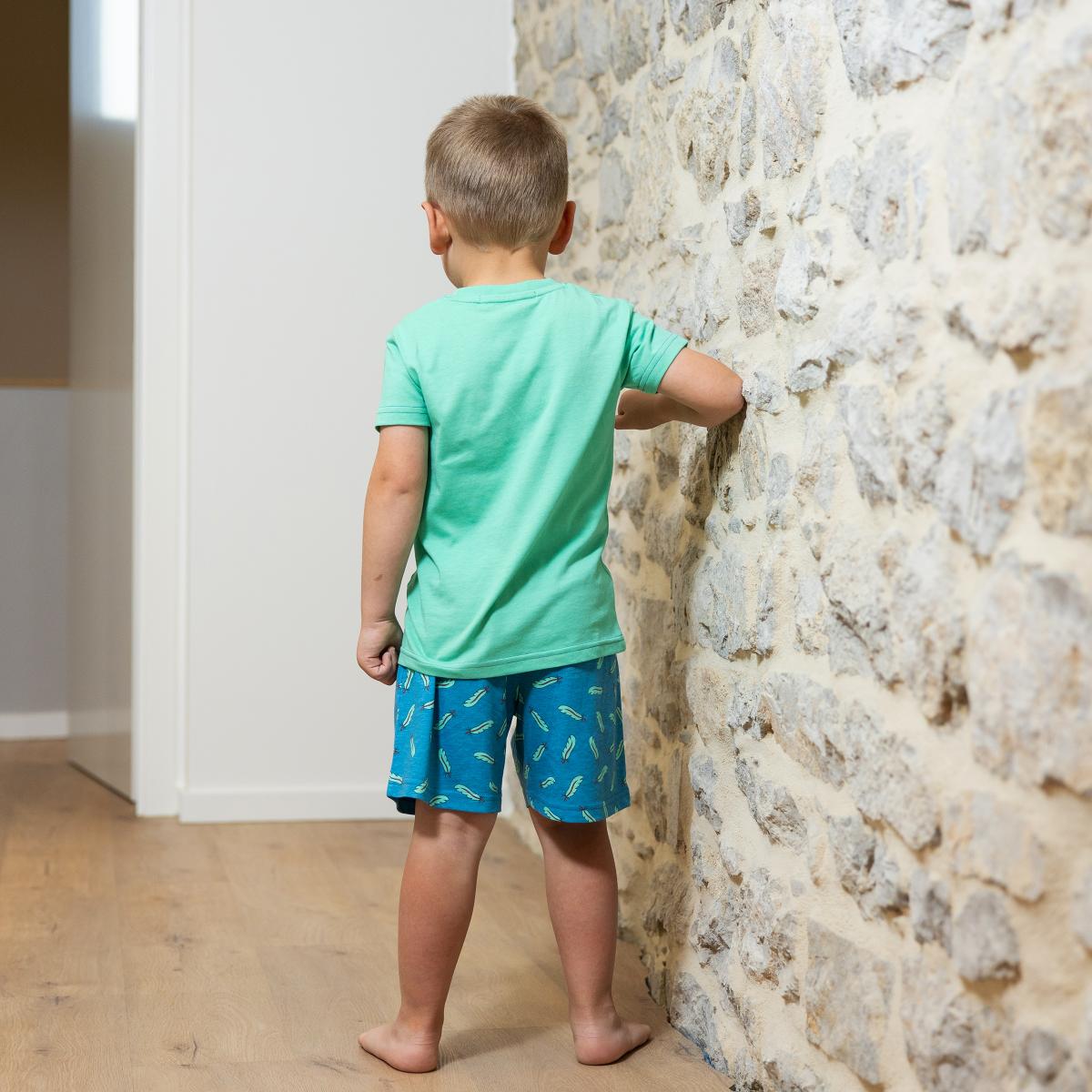 Mixte - Pyjamashort - Groen