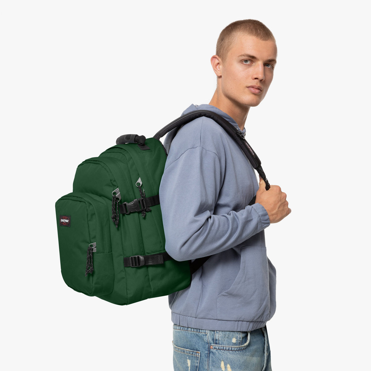 Provider Bristle Green