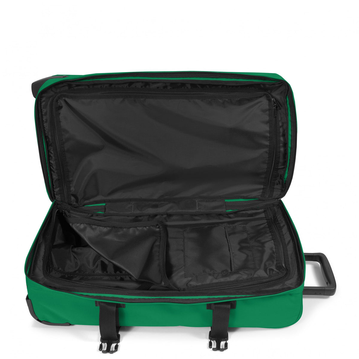 Tranverz M Green Parrot