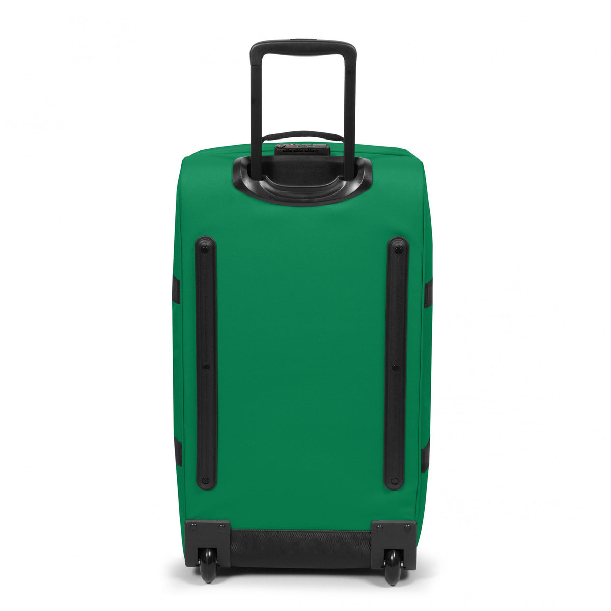 Tranverz M Green Parrot