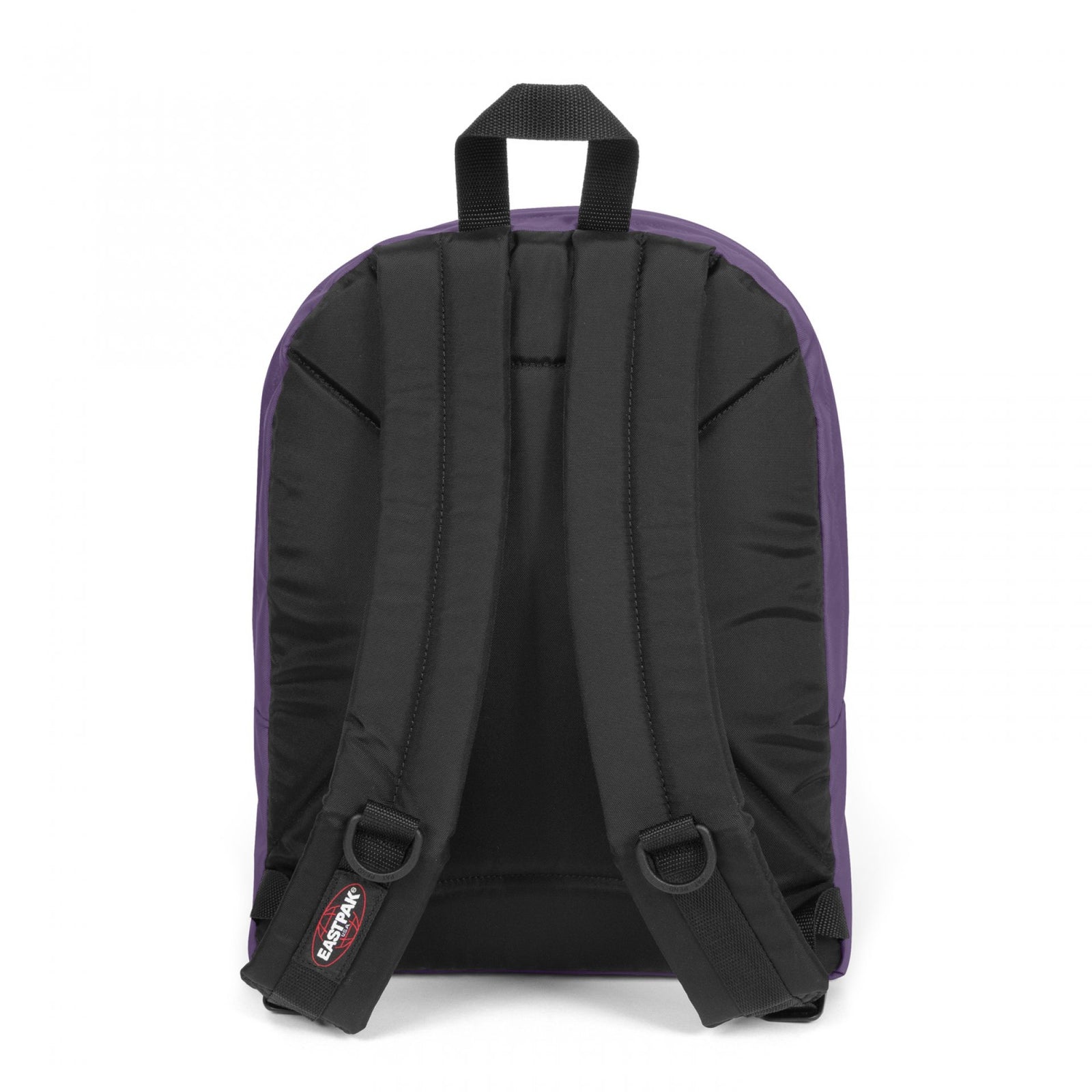 Morius Light Grape Purple