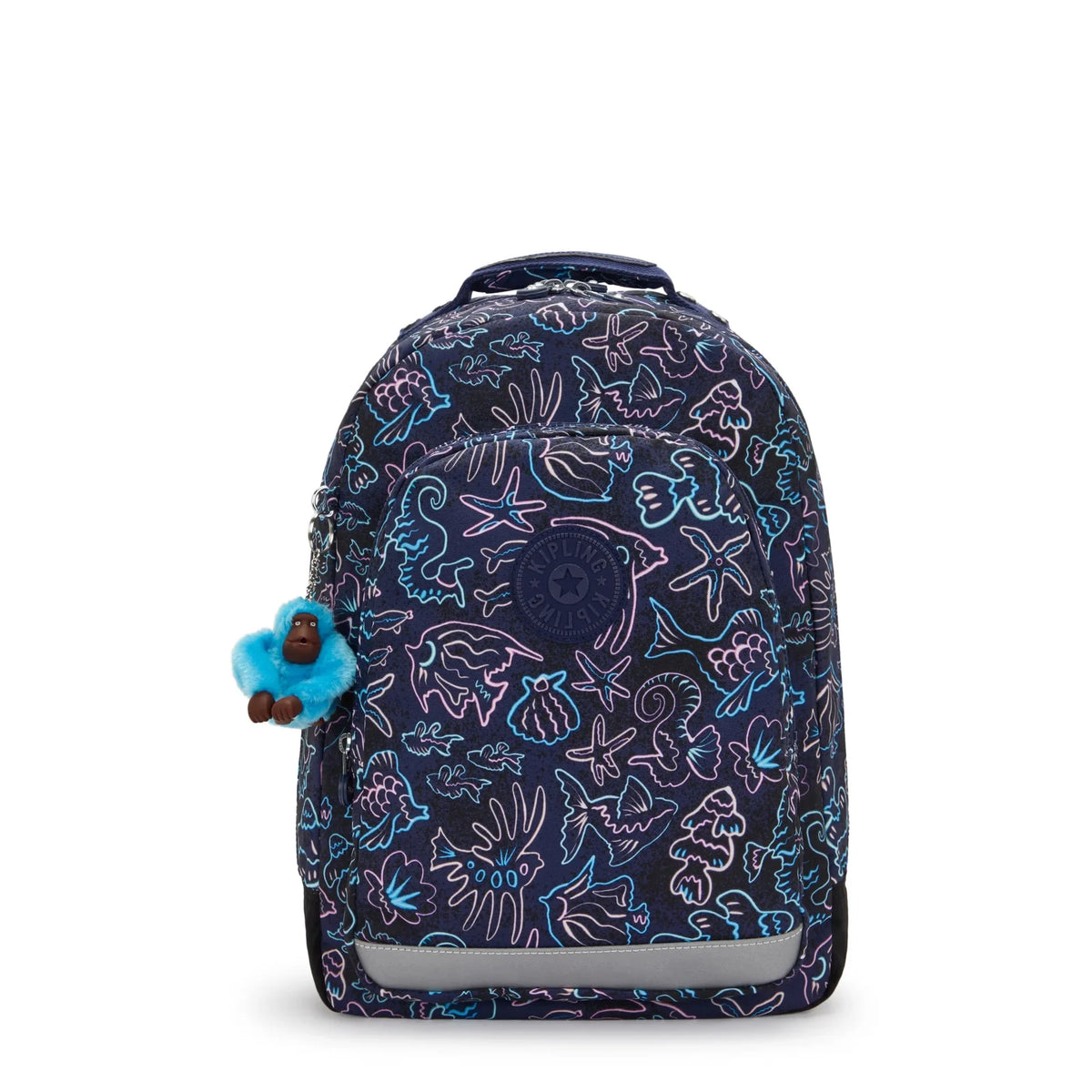 Class Room Disco Fish