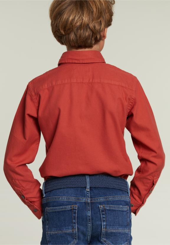 Custom Fit Cotton Shirt Blush - Roze
