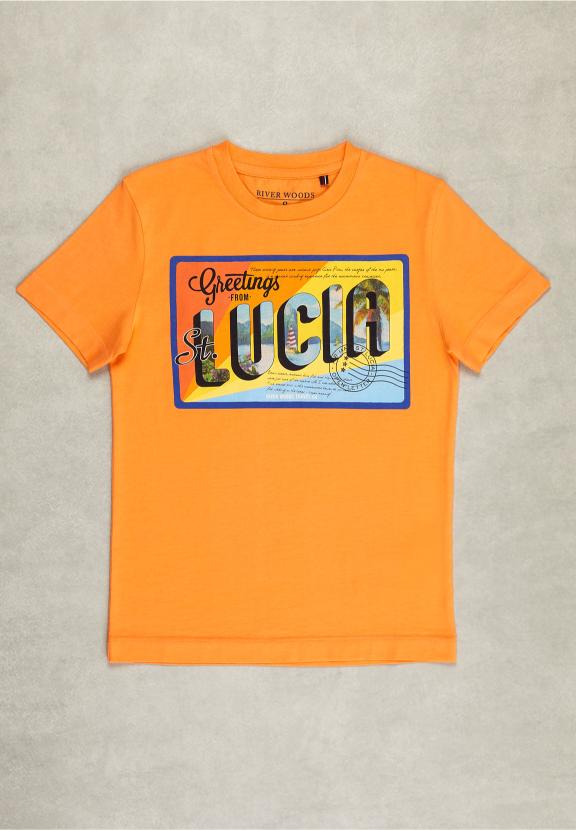 Normal Fit Basic T-Shirt In Sunrise - Orange