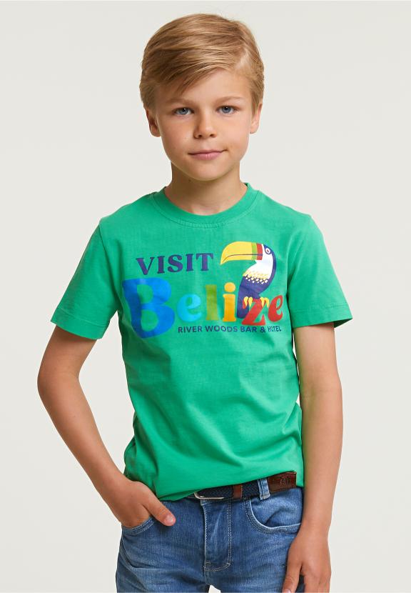 Normal Fit Basic T-Shirt Short Sleeves Apple - Vert
