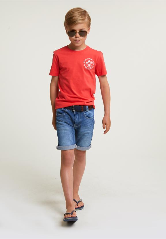 Normal Fit Basic T-Shirt Short Sleeves Cornell Red - Rouge