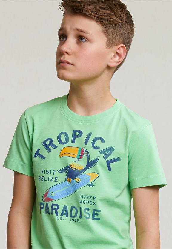 Normal Fit Basic T-Shirt Short Sleeves Mojito - Vert