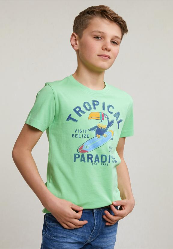 Normal Fit Basic T-Shirt Short Sleeves Mojito - Vert