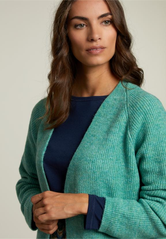Groen Basic V-Hals Vest - W