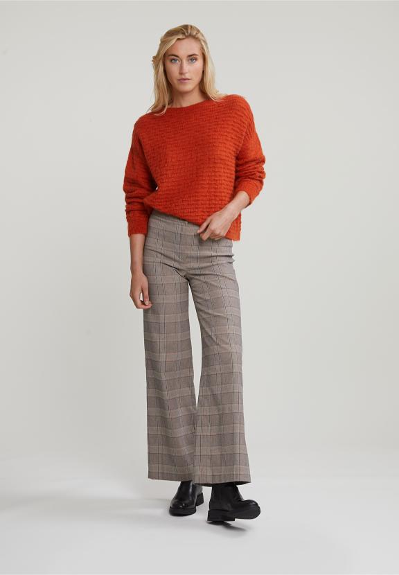 Multi Classic Checked Pants - Bruin