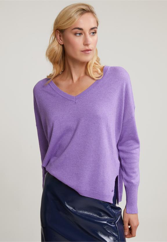 Purple Basic V-Neck Sweater Long Sleeves - Paars