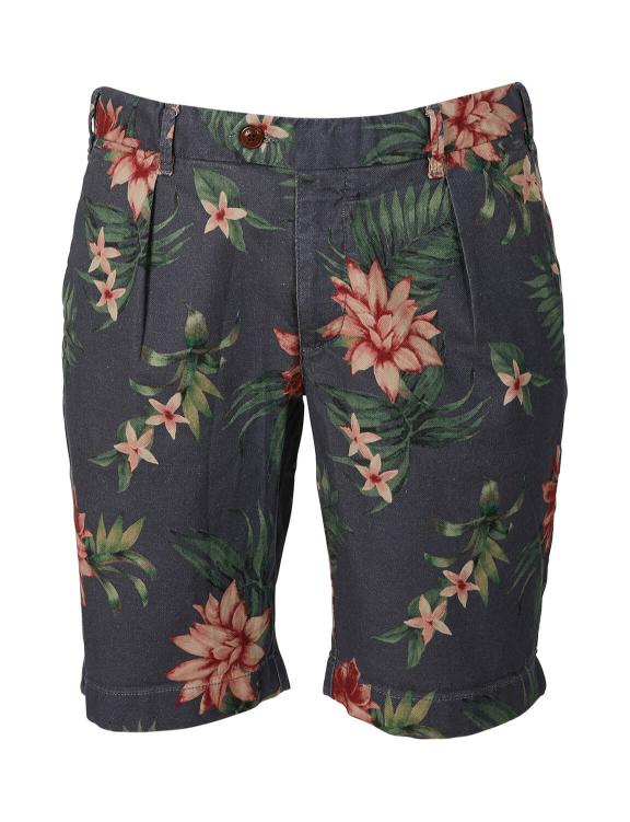 Regular Fit Cotton Shorts In Brown - Brown