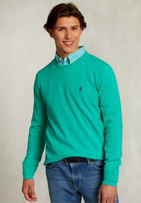 Normal Fit Basic Cotton Crew Neck Pullover Moscow Mule - Vert