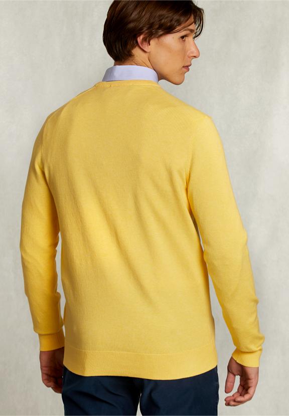 Normal Fit Basic Cotton V-Neck Pullover Butterfly Mix - Geel