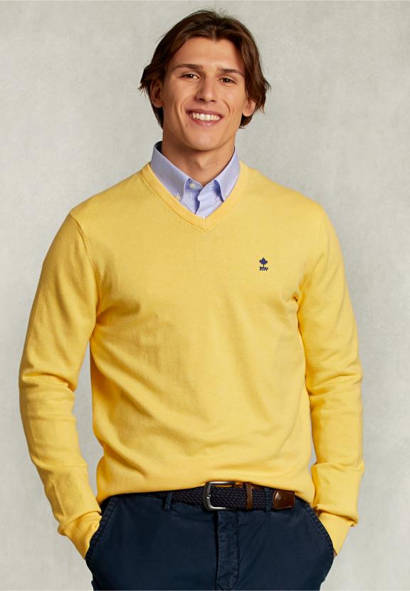 Normal Fit Basic Cotton V-Neck Pullover Butterfly Mix - Geel