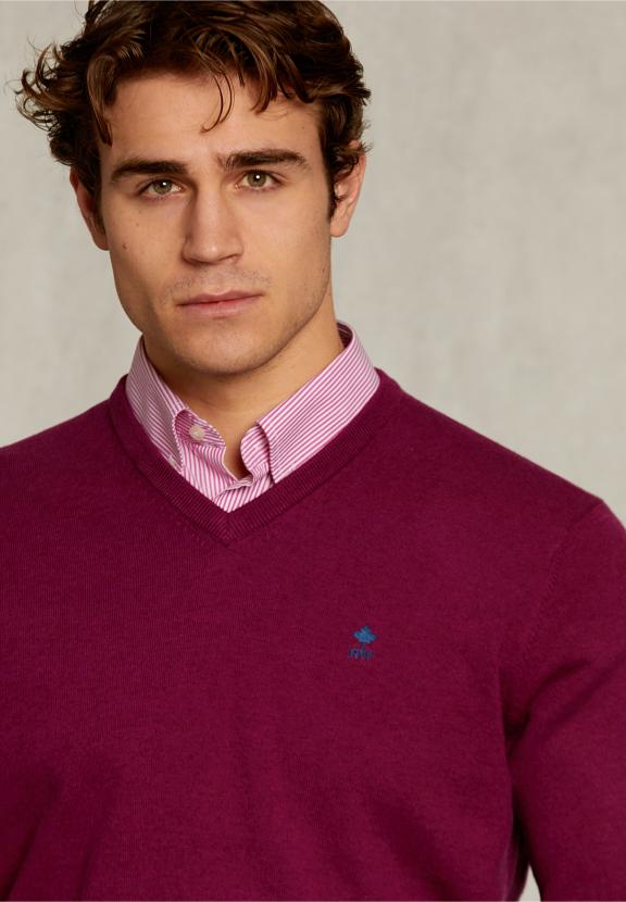 Normal Fit Basic Cotton V-Neck Pullover Cuberdon Mix - Paars