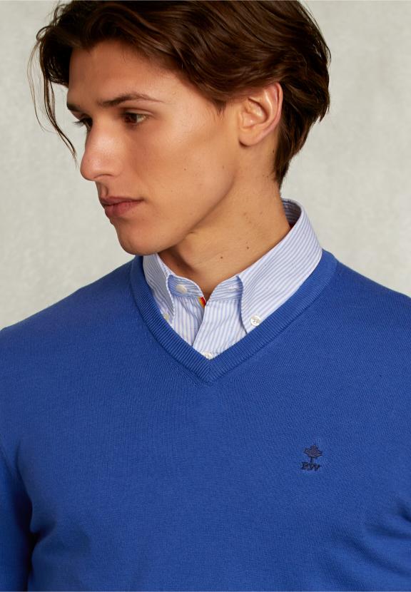 Normal Fit Basic Cotton V-Neck Pullover Delta - Blauw