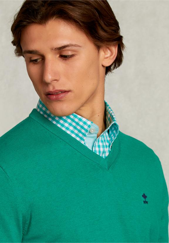 Normal Fit Basic Cotton V-Neck Pullover Green Twist Mix - Groen
