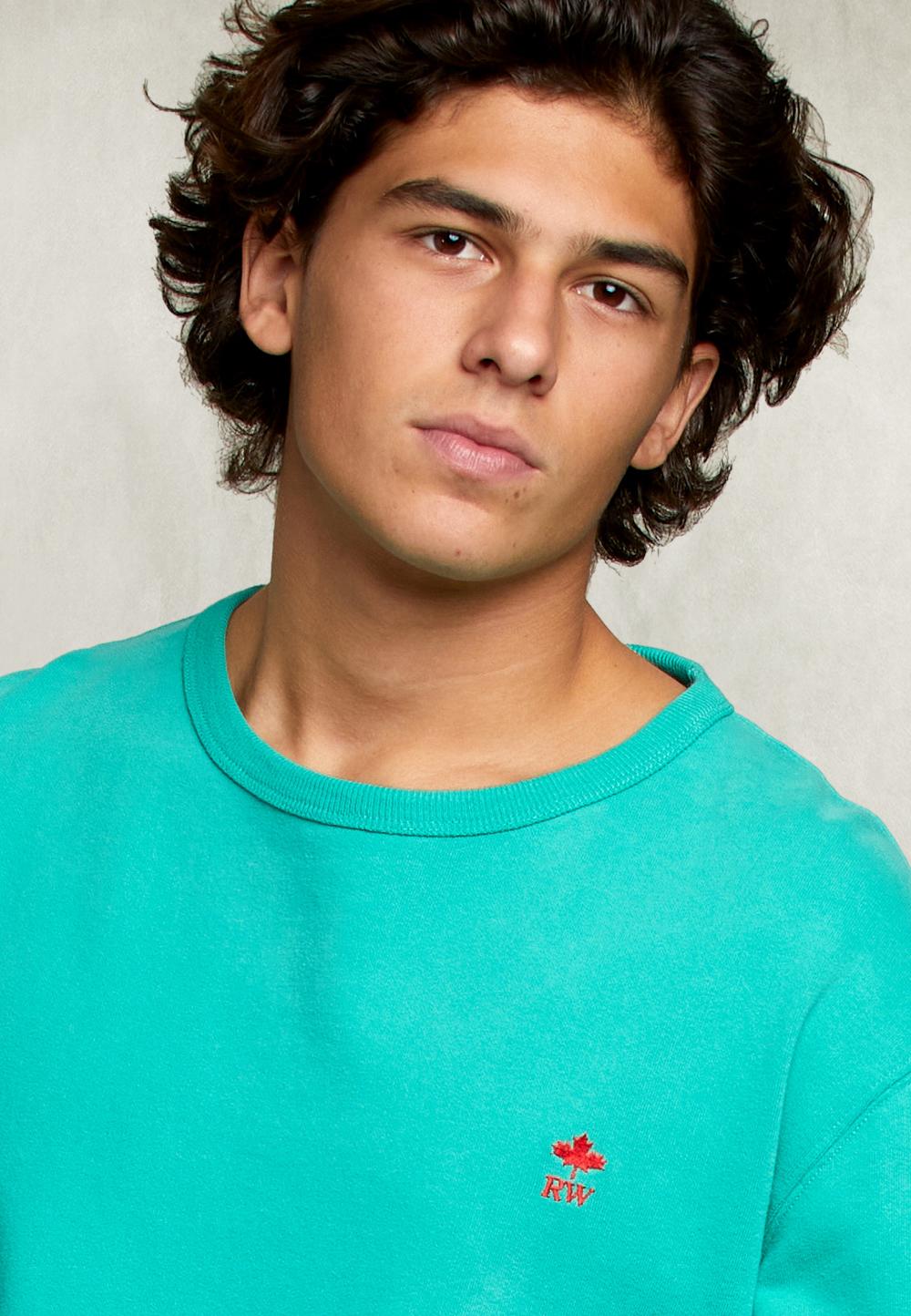 Basic Crew Neck Sweater Kiwi - Groen