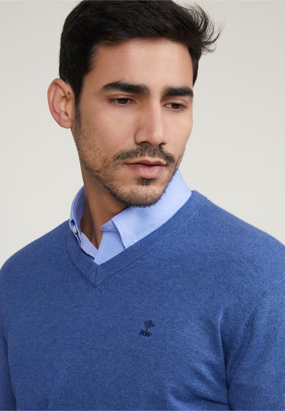 Normal Fit Basic Cotton V-Neck Sweater Wagon Blue Mix - Meervoudig